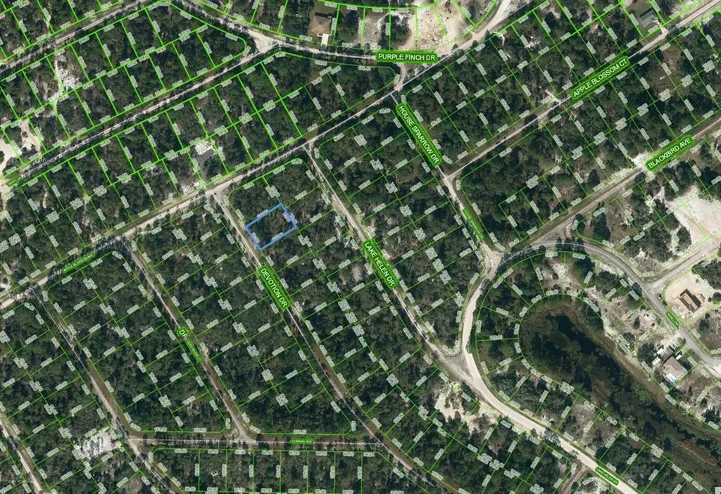 525 Devotion Drive Lake Placid FL 33852
