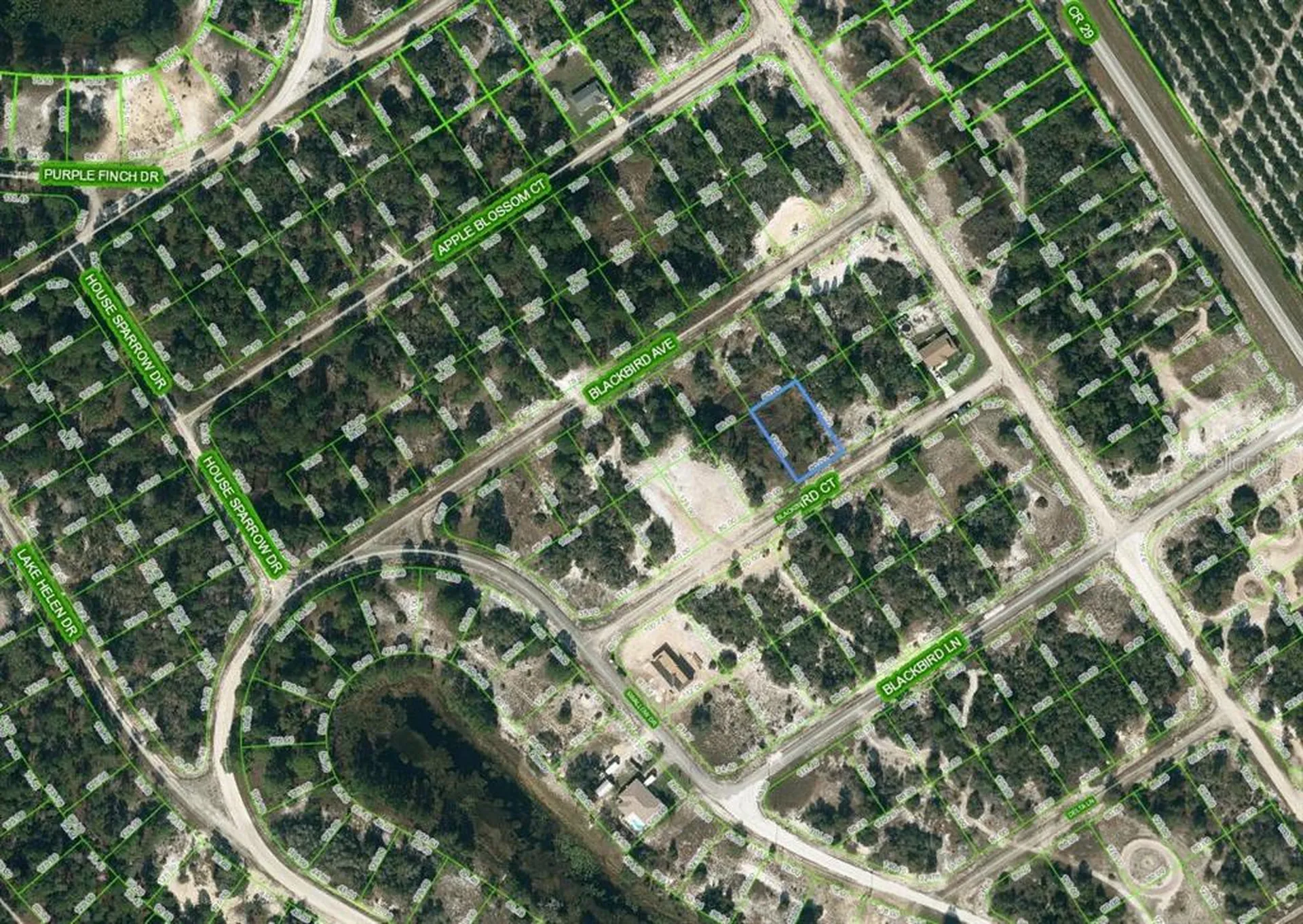 452 Blackbird Court Lake Placid FL 33852