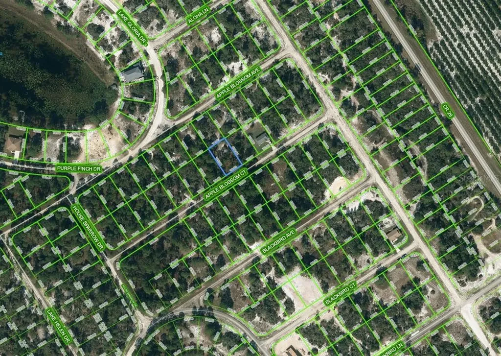 448 Apple Blossom Court Lake Placid FL 33852