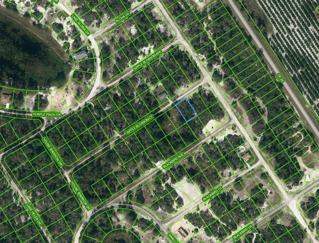 455 Apple Blossom Court Lake Placid FL 33852