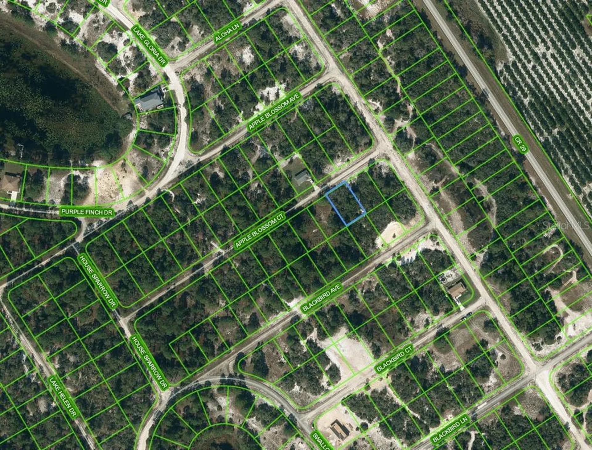 455 Apple Blossom Court Lake Placid FL 33852