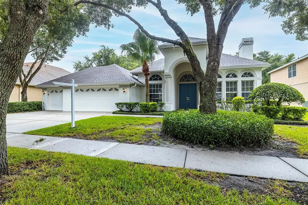 19114 Mandarin Grove Place Tampa FL 33647