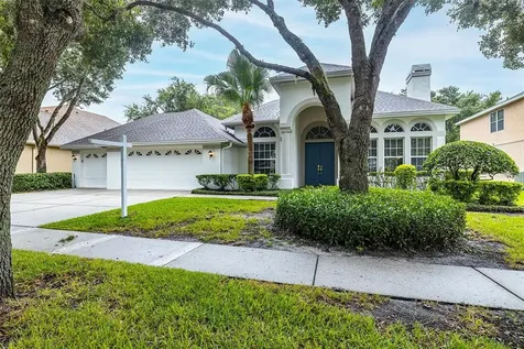 19114 Mandarin Grove Place Tampa FL 33647