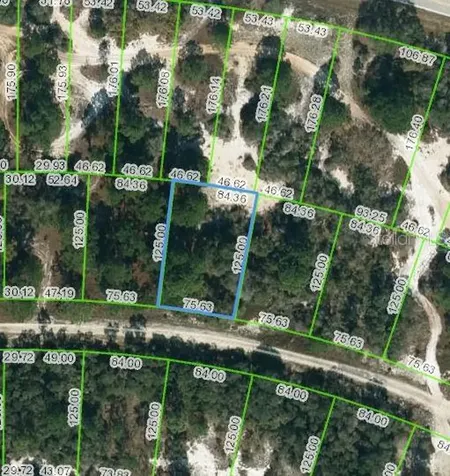 444 Morningside Drive Lake Placid FL 33852
