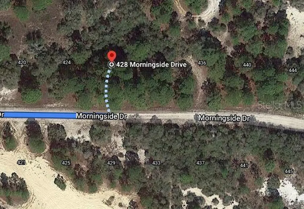 428 Morningside Drive Lake Placid FL 33852