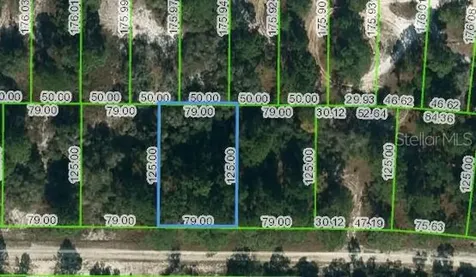428 Morningside Drive Lake Placid FL 33852