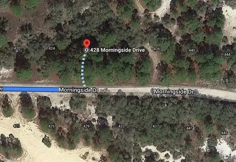 428 Morningside Drive Lake Placid FL 33852