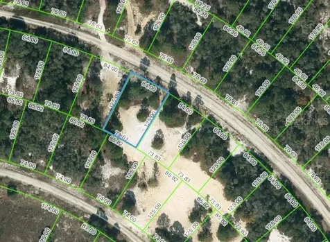463 Morningside Drive Lake Placid FL 33852