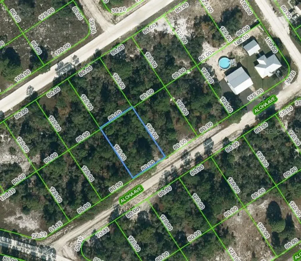 450 Aloha Avenue Lake Placid FL 33852