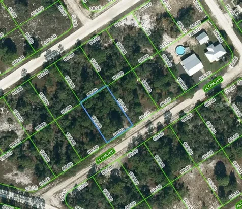 450 Aloha Avenue Lake Placid FL 33852