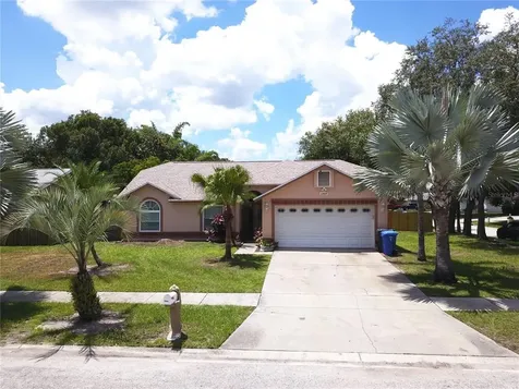 12028 Vermillion Way Riverview FL 33569