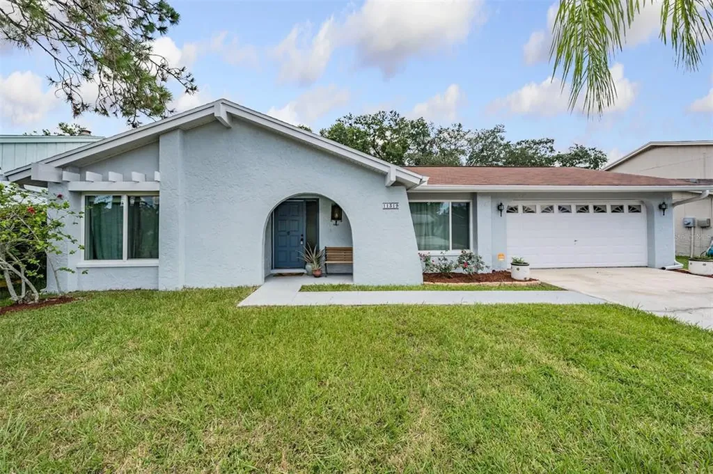 11319 Hollyglen Drive Tampa FL 33624