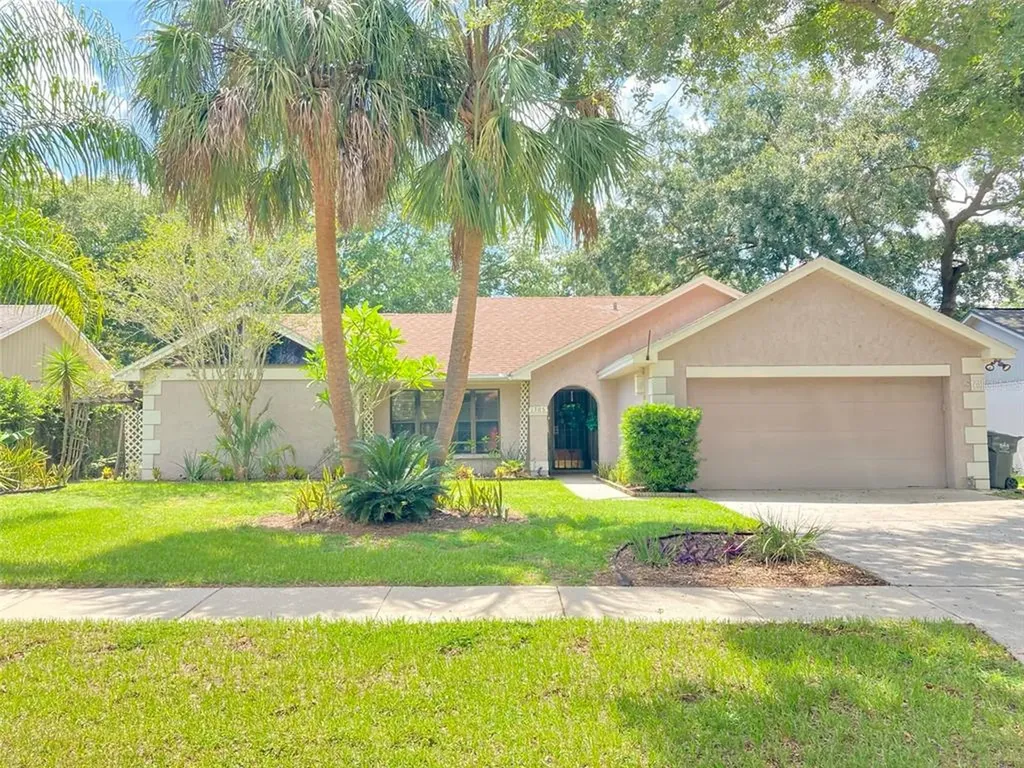 1705 Tallowtree Circle Valrico FL 33594