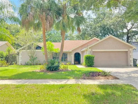 1705 Tallowtree Circle Valrico FL 33594