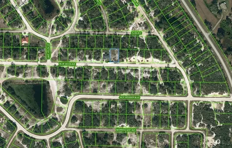 464 Blue Moon Avenue Lake Placid FL 33852
