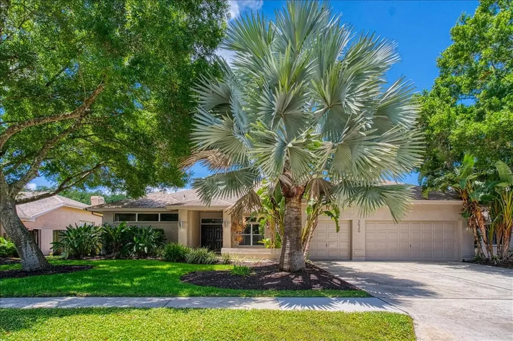3020 Bradford Circle Palm Harbor FL 34685
