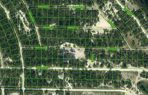 417 Wind Rose Avenue Lake Placid FL 33852