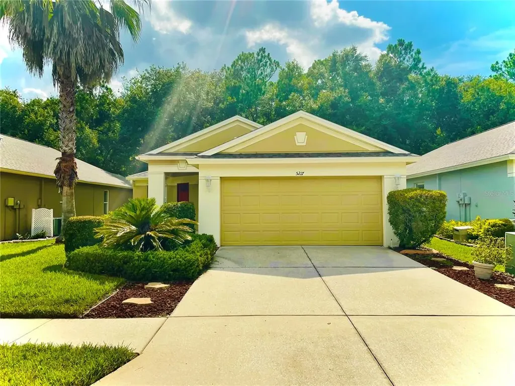 5217 Gato Del Sol Circle Wesley Chapel FL 33544