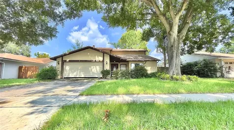 15703 Country Lake Drive Tampa FL 33624