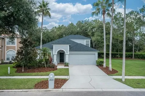 19005 Chemille Drive Lutz FL 33558