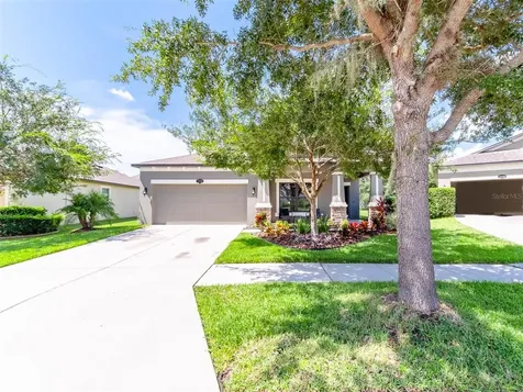 11506 Scarlet Ibis Place Riverview FL 33569