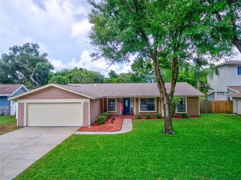 743 Creekside Lane Palm Harbor FL 34684