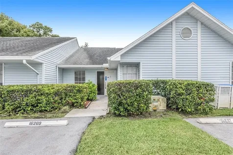 16209 Rambling Vine Drive W Tampa FL 33624