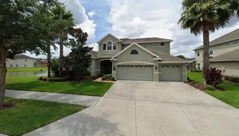 19120 Climbing Aster Drive Tampa FL 33647