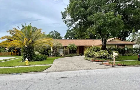 3041 Oak View Drive Palm Harbor FL 34684
