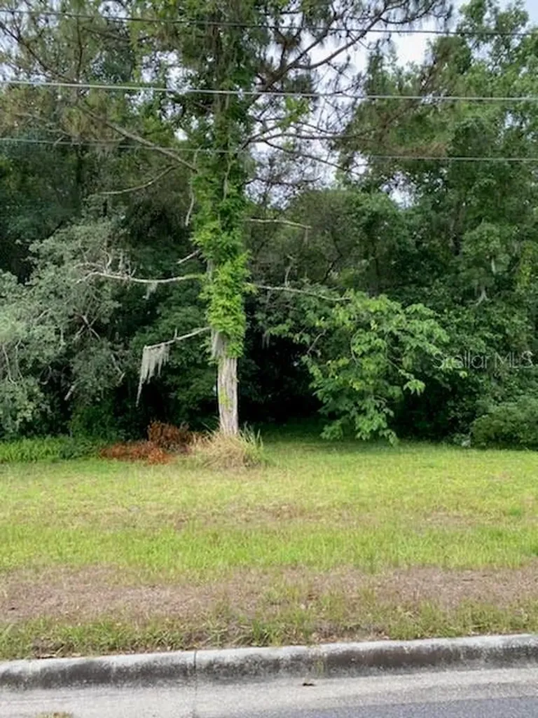 14 W 16th Street Apopka FL 32703
