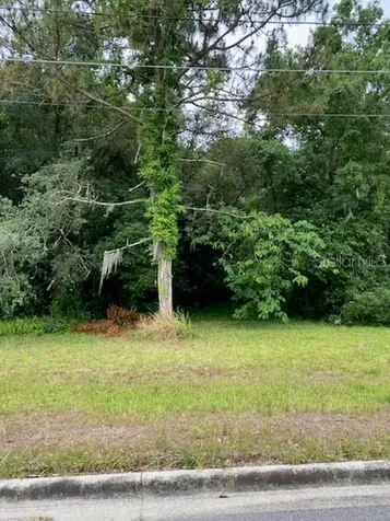 14 W 16th Street Apopka FL 32703