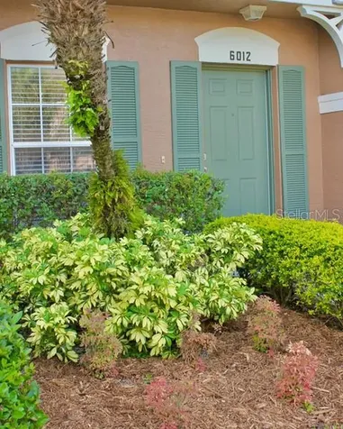 6012 Bayside Key Drive Tampa FL 33615