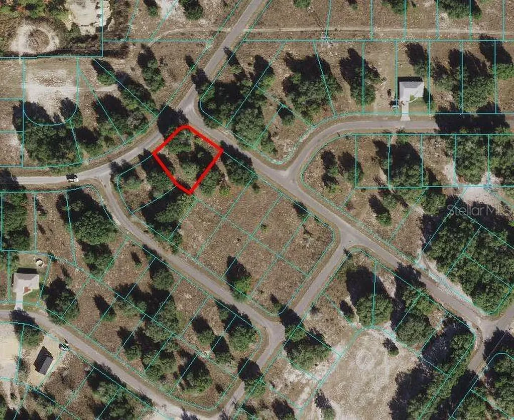 Guava Terrace Ocklawaha FL 32179