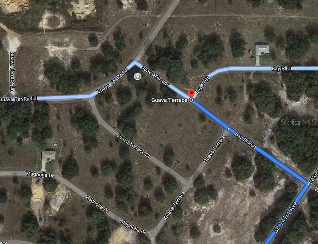 Guava Terrace Ocklawaha FL 32179