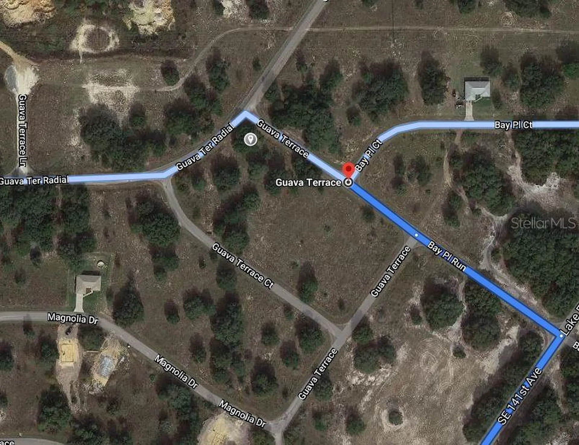 Guava Terrace Ocklawaha FL 32179