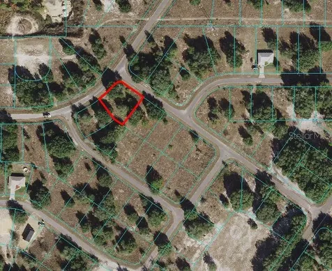Guava Terrace Ocklawaha FL 32179