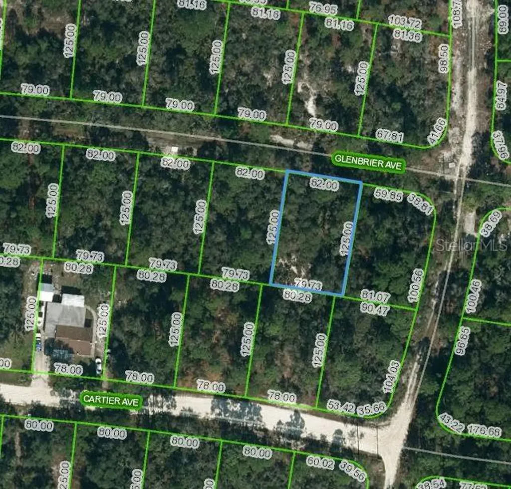 341 Glenbrier Avenue Lake Placid FL 33852