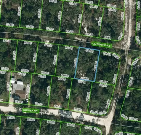 341 Glenbrier Avenue Lake Placid FL 33852