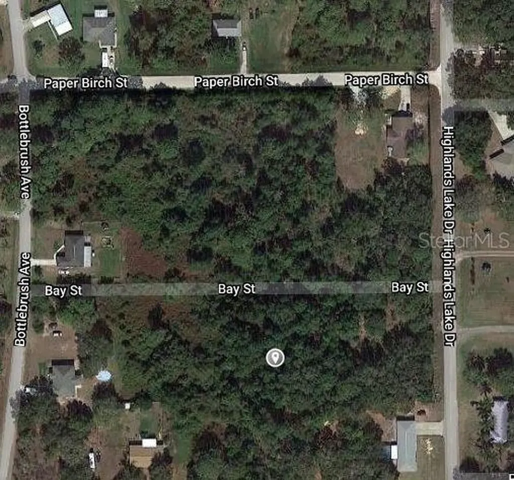 1511 Blackwillow Street Lake Placid FL 33852