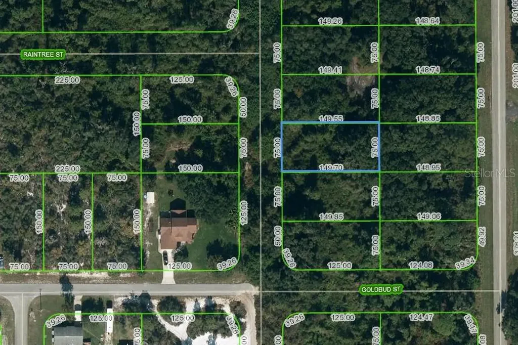 251 Marshall Avenue Lake Placid FL 33852