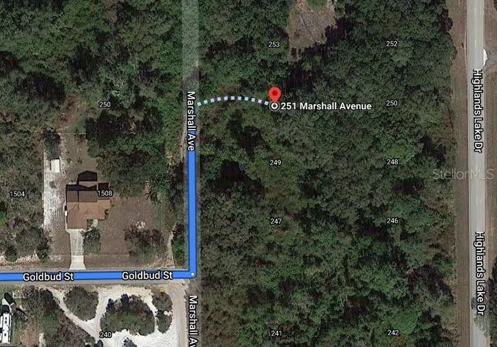 251 Marshall Avenue Lake Placid FL 33852
