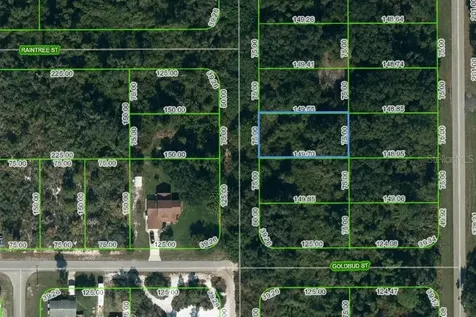 251 Marshall Avenue Lake Placid FL 33852