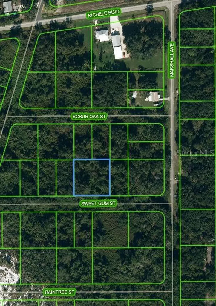 1510 Sweet Gum Street Lake Placid FL 33852