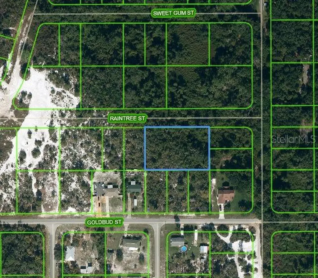 1515 Raintree Street Lake Placid FL 33852