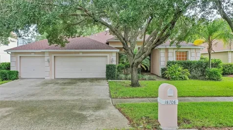18708 Chemille Drive Lutz FL 33558