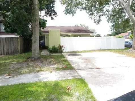 10312 Fernglen Place Tampa FL 33624