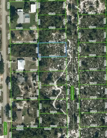 246 Sandpiper Street Lake Placid FL 33852