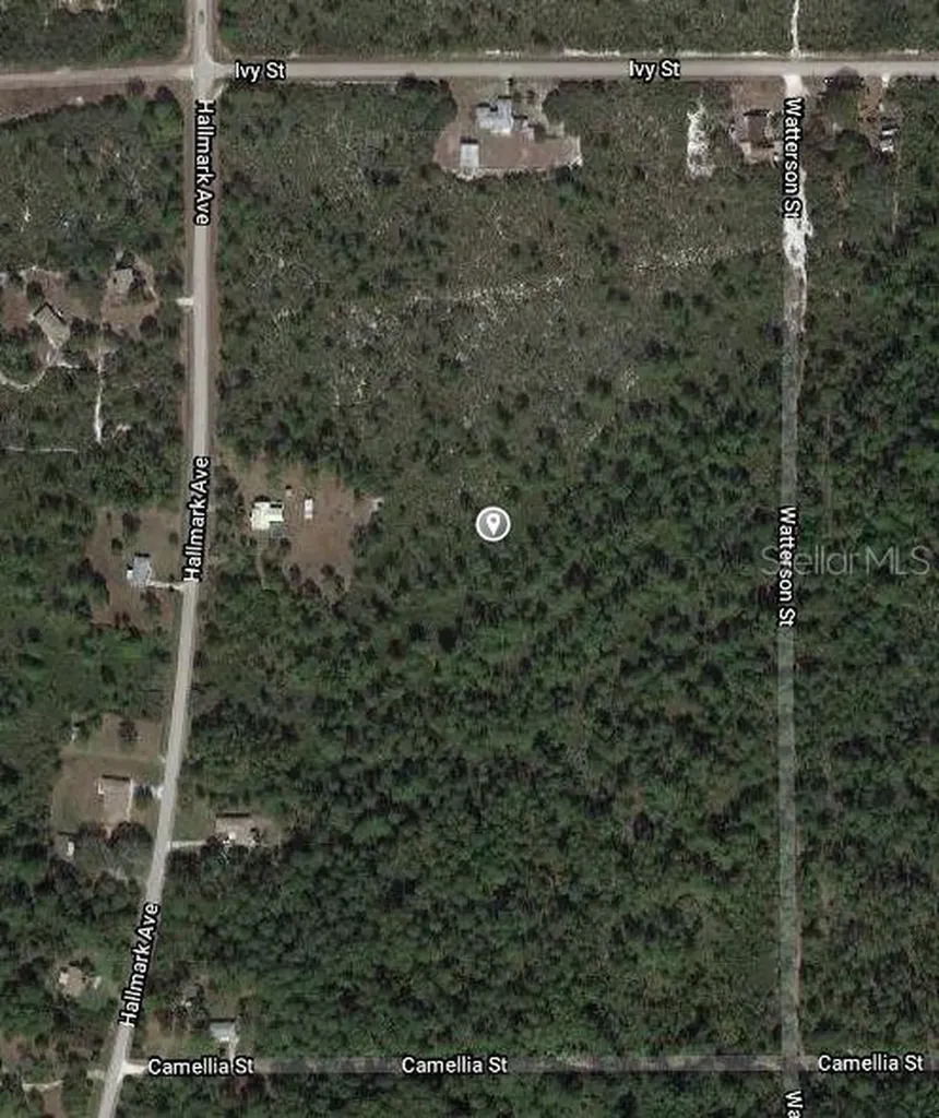 1411 Caladium Street Lake Placid FL 33852