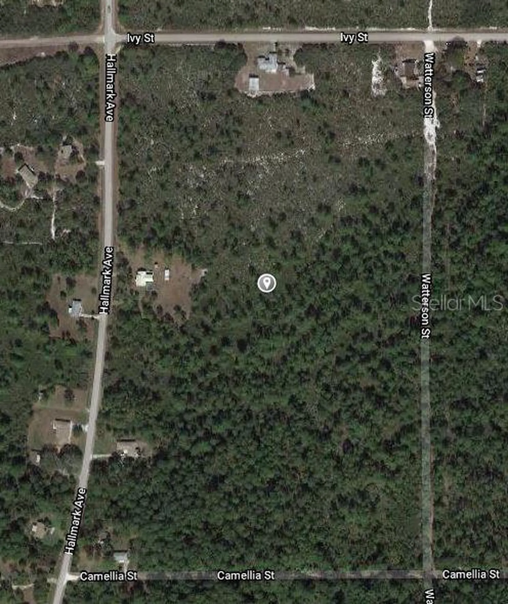 1411 Caladium Street Lake Placid FL 33852