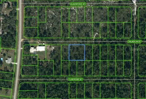 1411 Caladium Street Lake Placid FL 33852